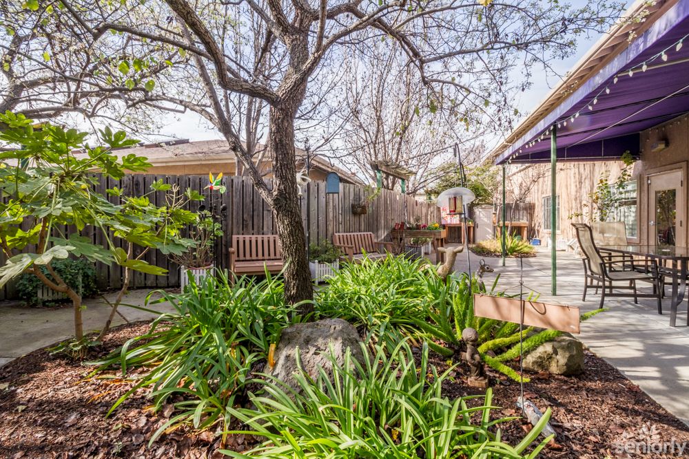 A serene garden with lush greenery and a wooden bench under the tree.