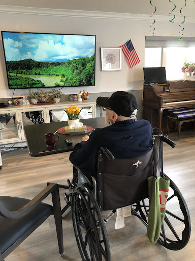 An elderly person enjoying a scenic view on the television in a cozy living room setting.