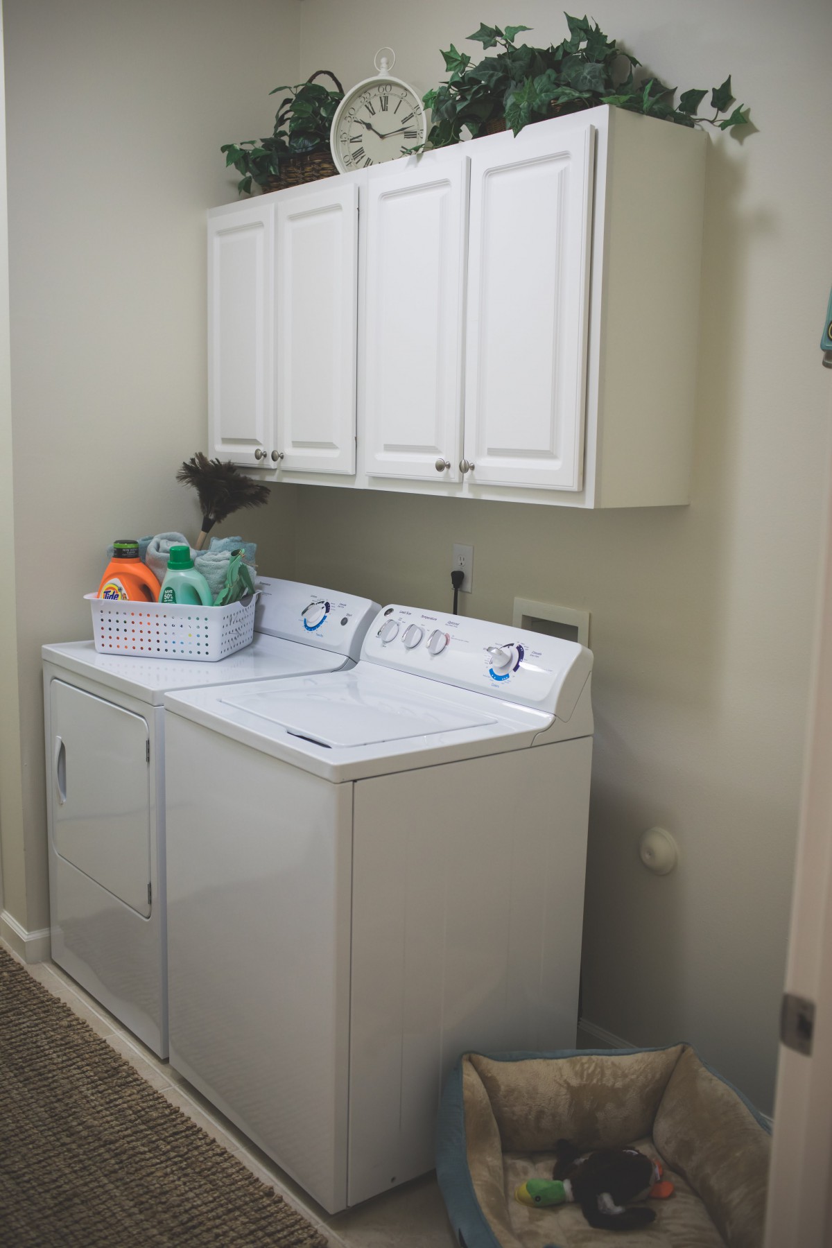 A tidy laundry room with a washing machine, dryer, and cleaning supplies neatly organized.