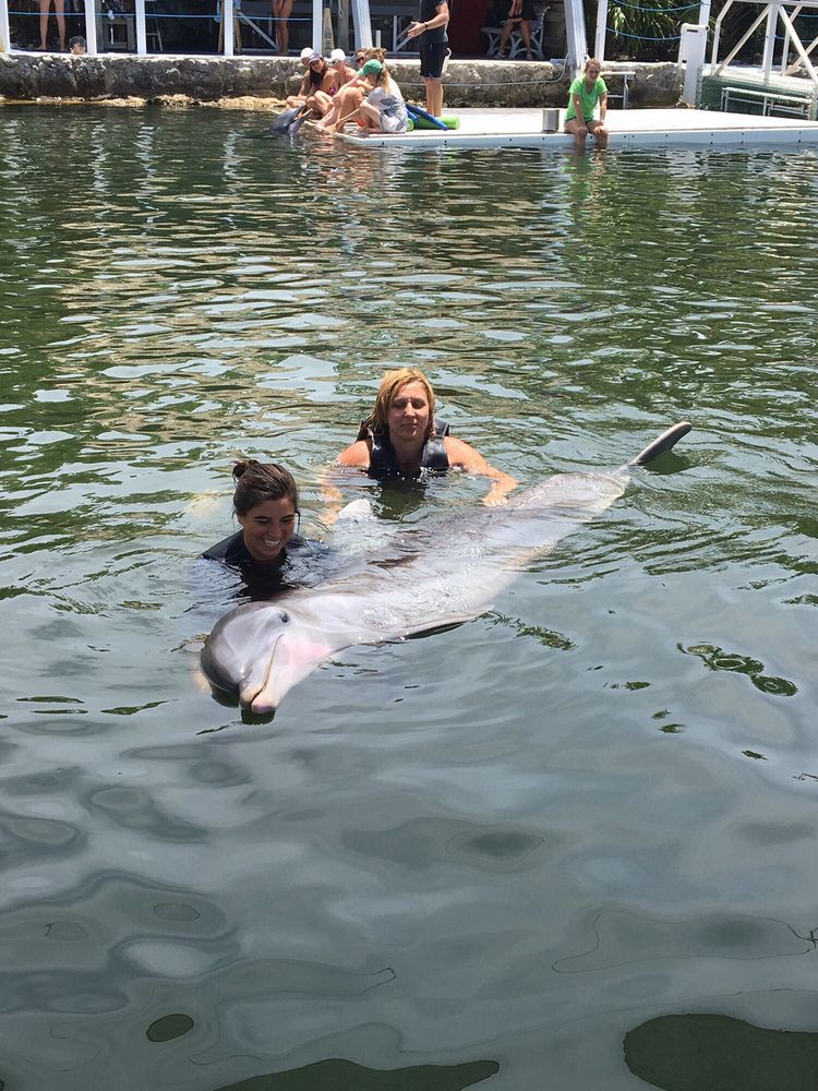 Two people swimming with a dolphin in an outdoor water setting.