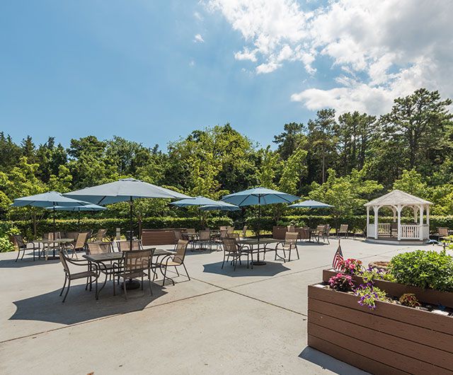 A sunny outdoor patio with tables, chairs, and umbrellas surrounded by trees.