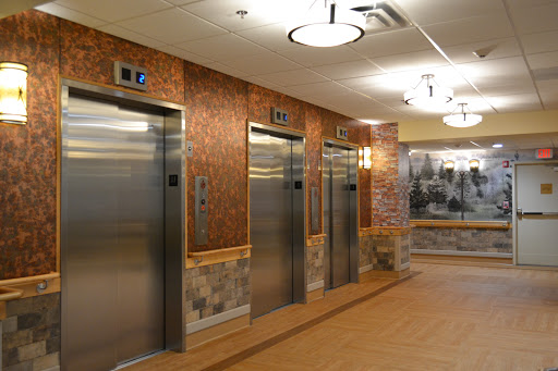 A view of three sleek elevators in a modern building interior, showcasing contemporary design and warm lighting.
