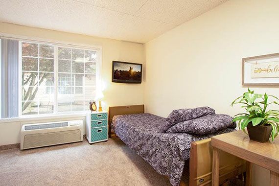 A cozy bedroom with a single bed and a window letting in natural light.