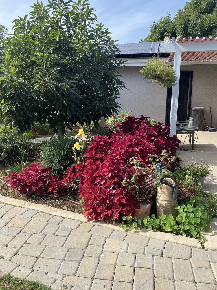 A vibrant garden with lush foliage and a cozy patio area.