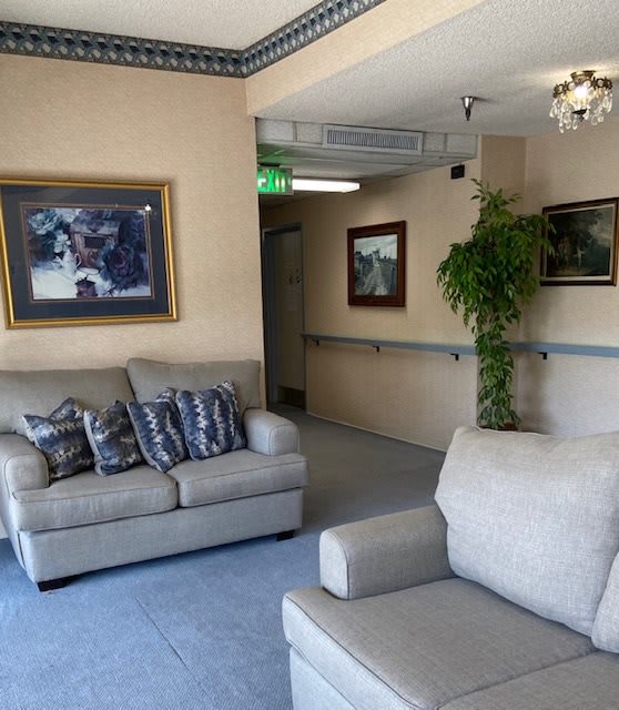 A cozy lobby area featuring sofas, decorative paintings, and indoor plants.