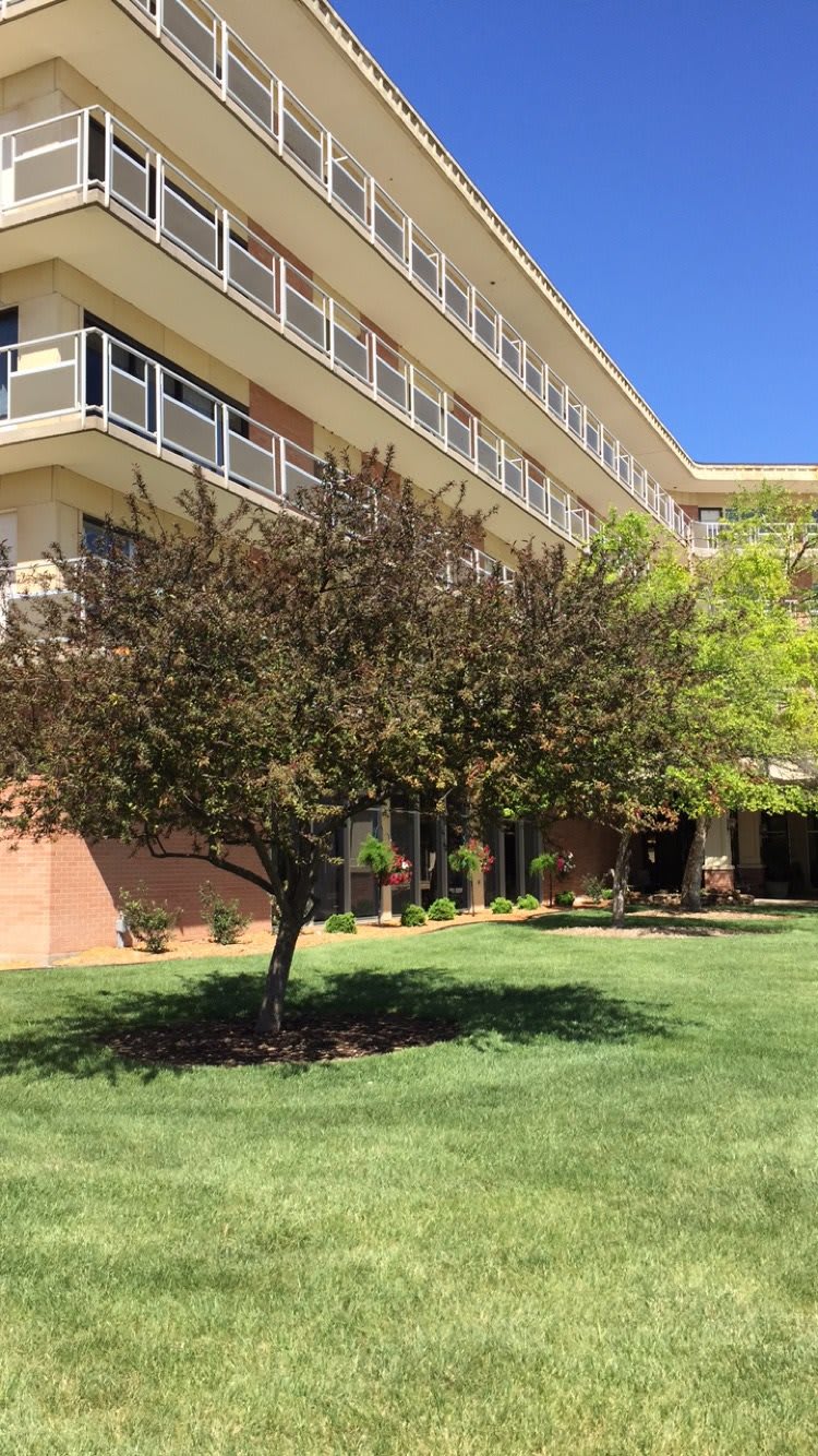 A tree stands on a grassy lawn in front of a modern multi-story building.