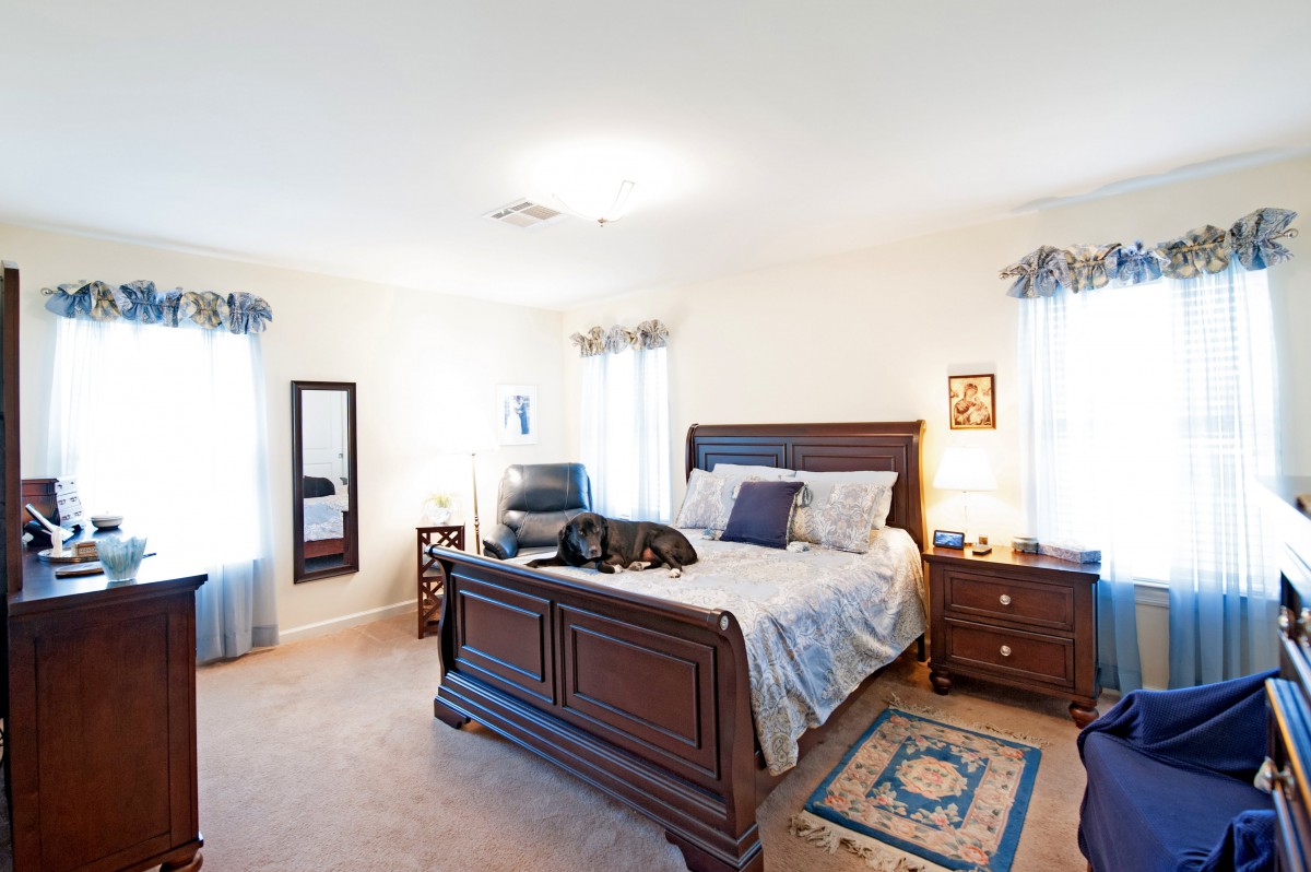 A cozy bedroom with a wooden bed, a dog relaxing on the bed, nightstands, and a mirror.