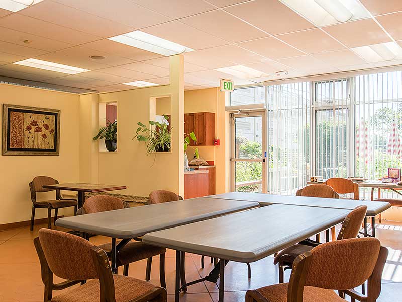 A well-lit dining area with tables and chairs, featuring indoor plants and large windows.