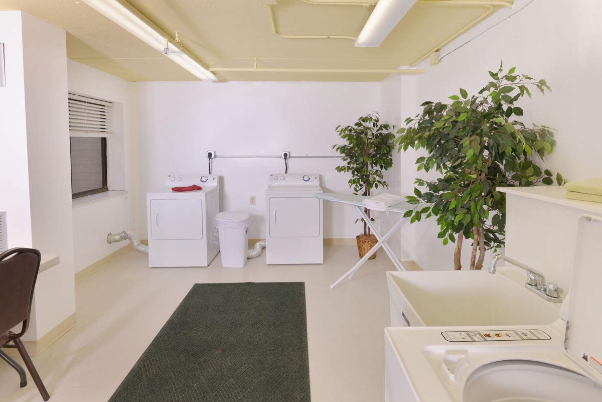 A tidy laundry room with washing machines, a dryer, and indoor plants.