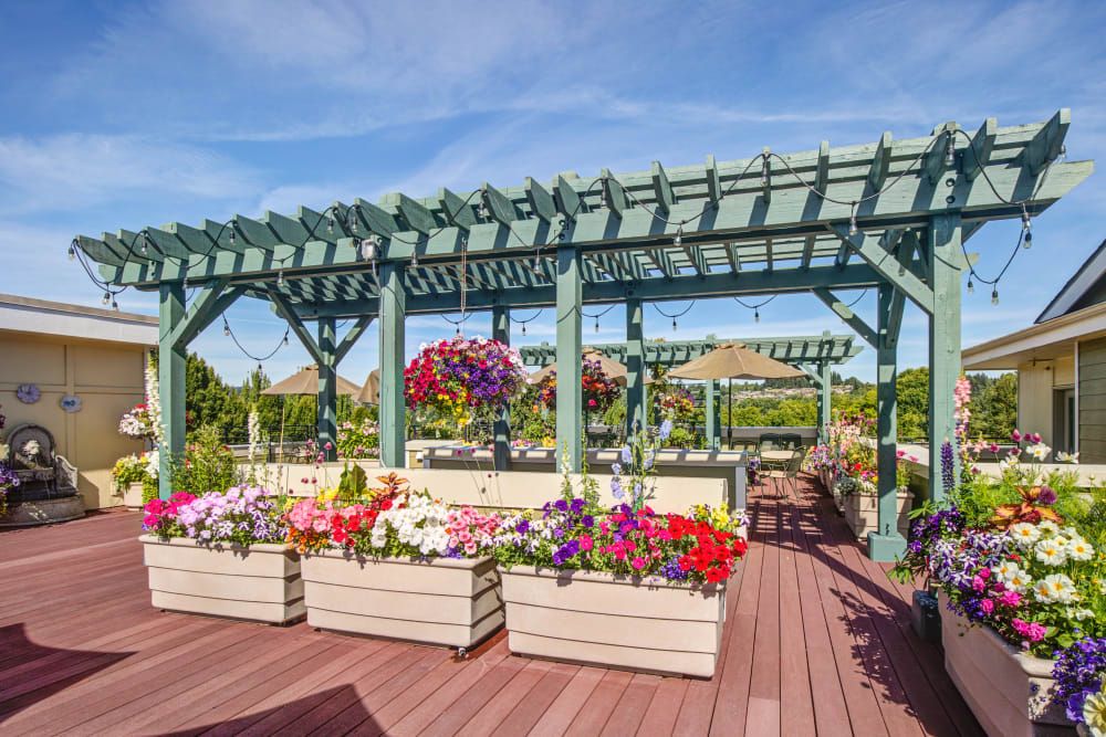 A beautiful garden with vibrant flowers under a green pergola.