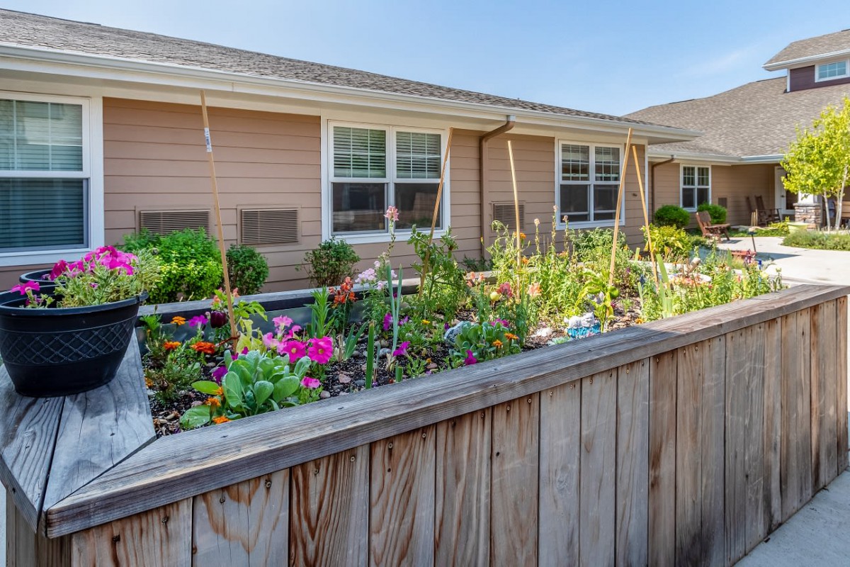 A vibrant garden with colorful flowers behind a wooden fence, alongside a house with multiple windows.