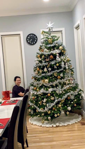 A beautifully decorated Christmas tree with festive ornaments and a warm holiday setting.