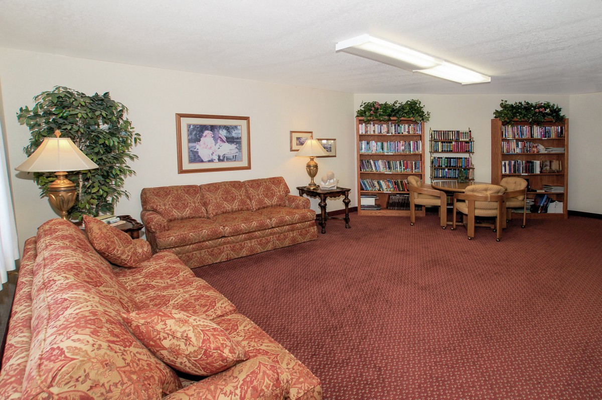 A cozy living room with sofas, a bookshelf, and a decorative painting.