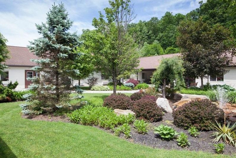 A beautifully landscaped garden with a variety of trees and plants in front of a house.