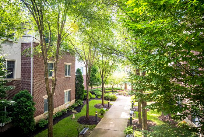 A serene walkway between buildings, lined with lush green trees and bathed in sunlight.