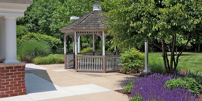 A charming gazebo surrounded by lush greenery in a peaceful park setting.
