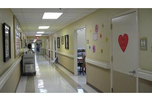 A clean and well-lit hospital corridor with decorated walls and doors.