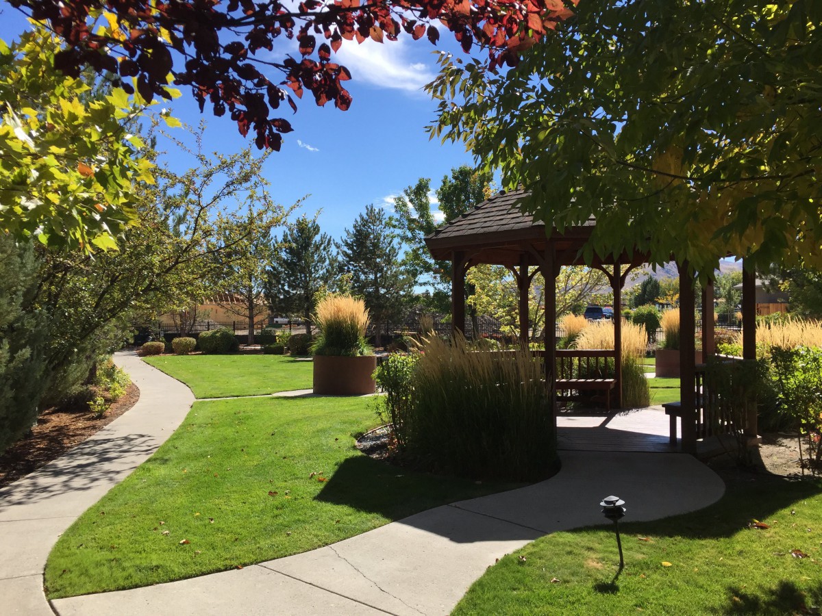 A serene park setting with a gazebo, winding pathways, and lush greenery under a clear blue sky.
