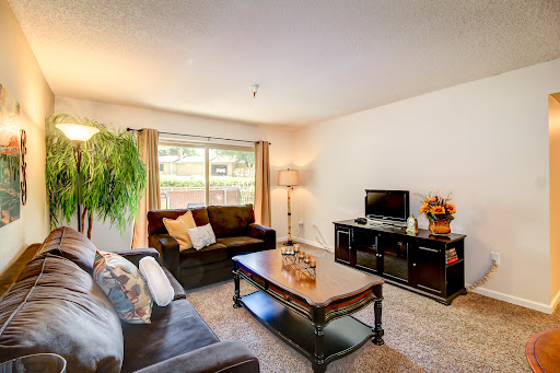 A cozy living room featuring a comfortable sofa, a coffee table, and a TV stand, illuminated by natural light.
