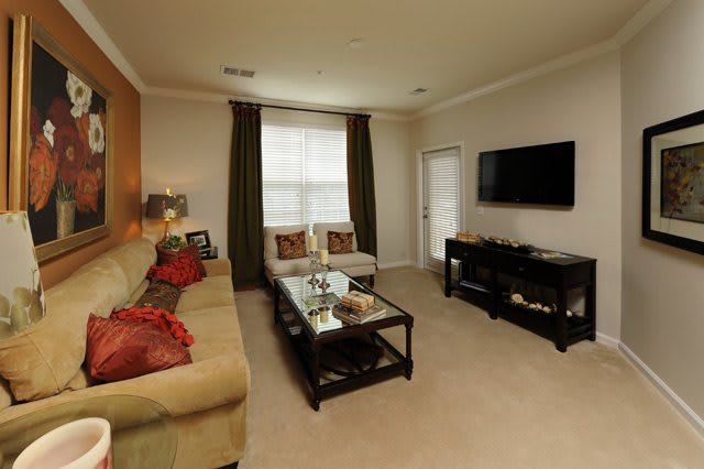 A cozy living room with a sofa, coffee table, TV, and decorative elements.