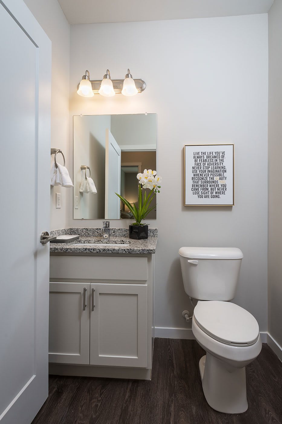 A modern bathroom with a sink, toilet, and decorative elements.