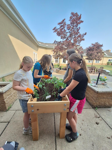 Children engaging in a gardening activity, cultivating plants together in an outdoor setting.