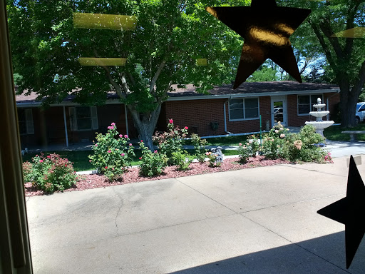 A sunny view of a garden with blooming flowers and a tree, showcasing a peaceful residential setting.