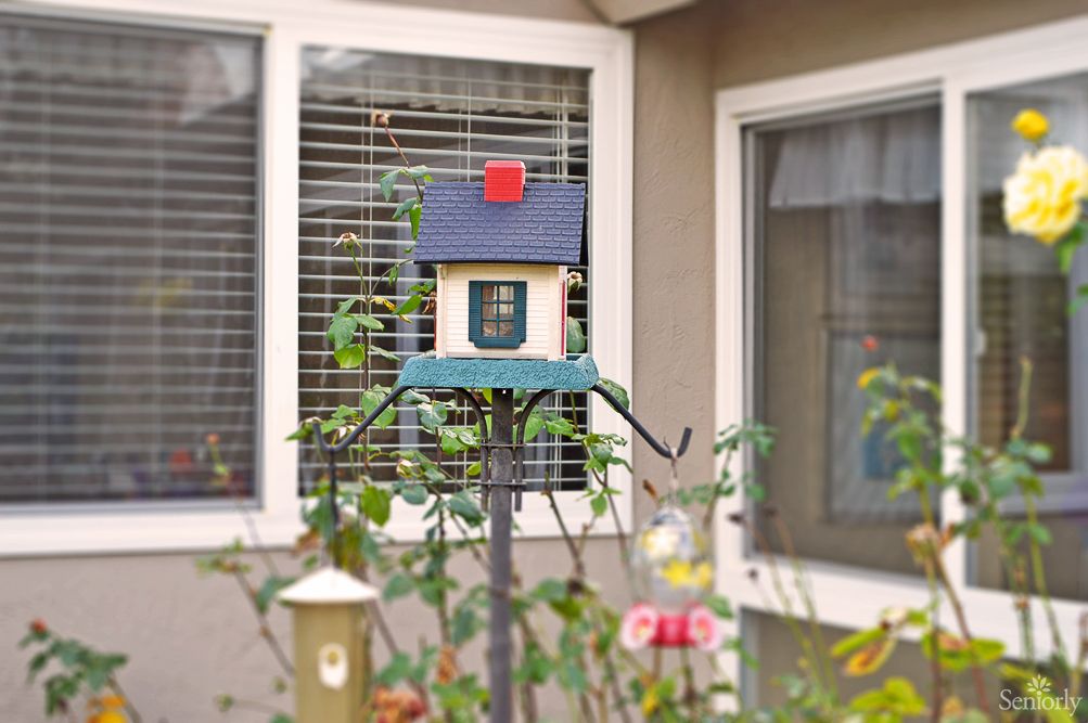 A colorful birdhouse stands in a garden with windows in the background.