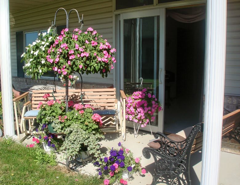 A cozy patio adorned with vibrant flowers and plants in hanging baskets under the warm sunlight.