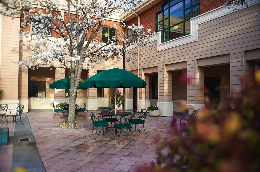 A serene courtyard with tables and green umbrellas.