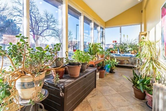 A bright sunroom filled with a variety of potted plants basking in natural light.