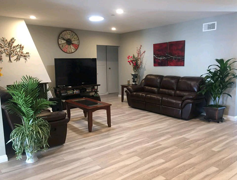 A cozy living room with a sofa, television, and decorative plants.