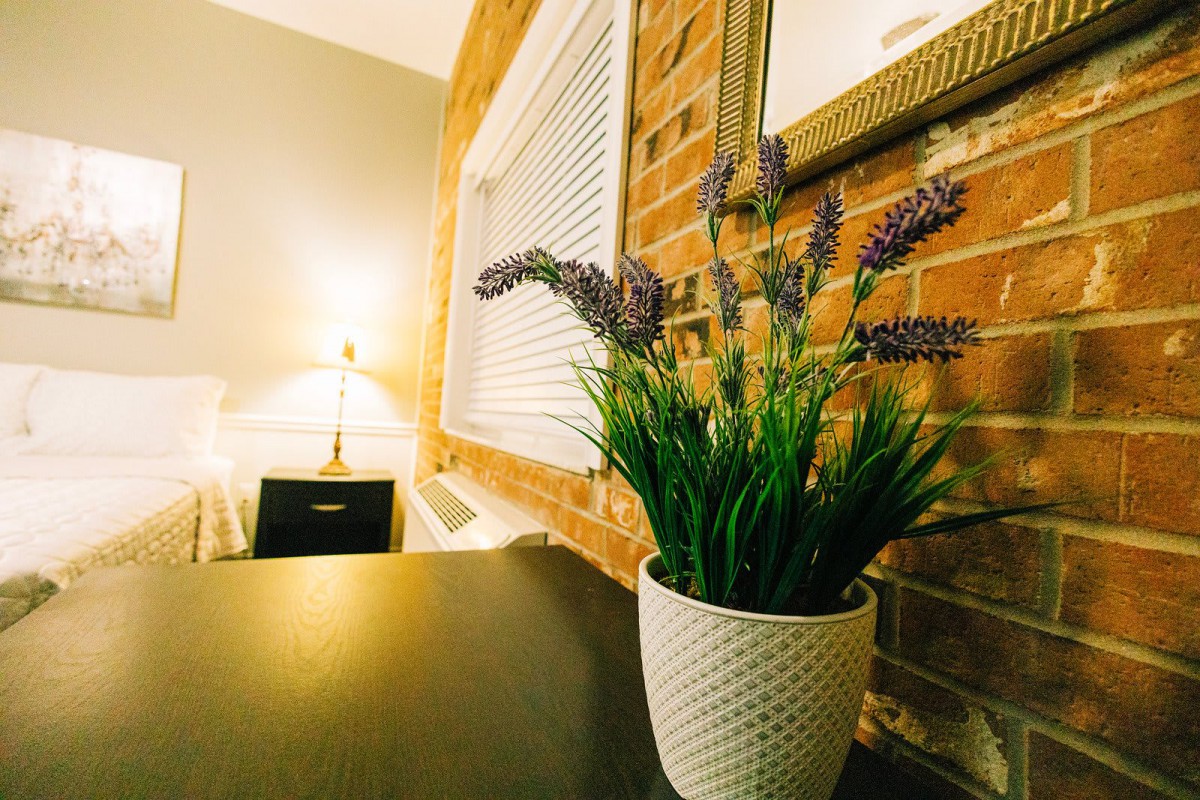 A cozy room features a potted plant against a brick wall, softly lit by a bedside lamp.