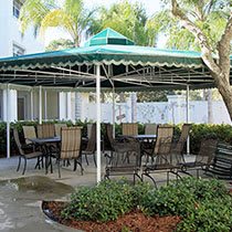 A patio area with tables and chairs under a canopy, surrounded by palm trees.