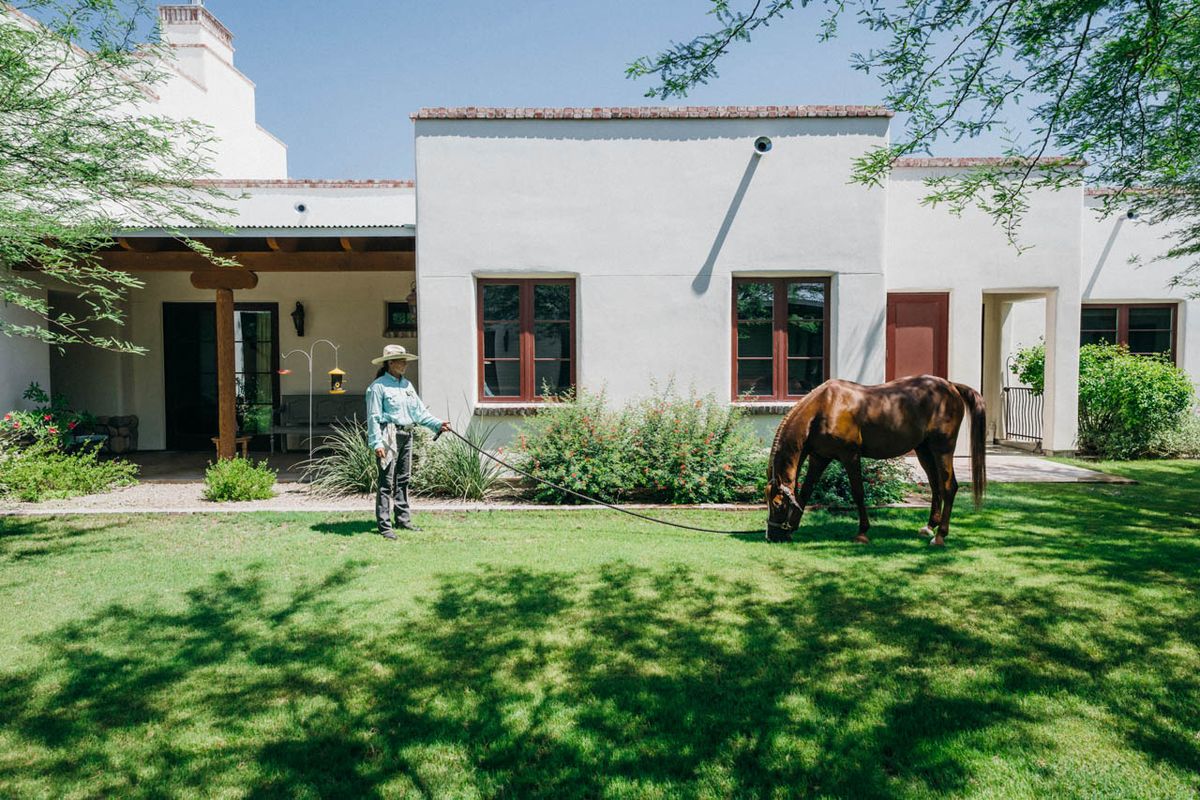 A person stands in a sunny garden with a horse grazing on the lawn in front of a house.