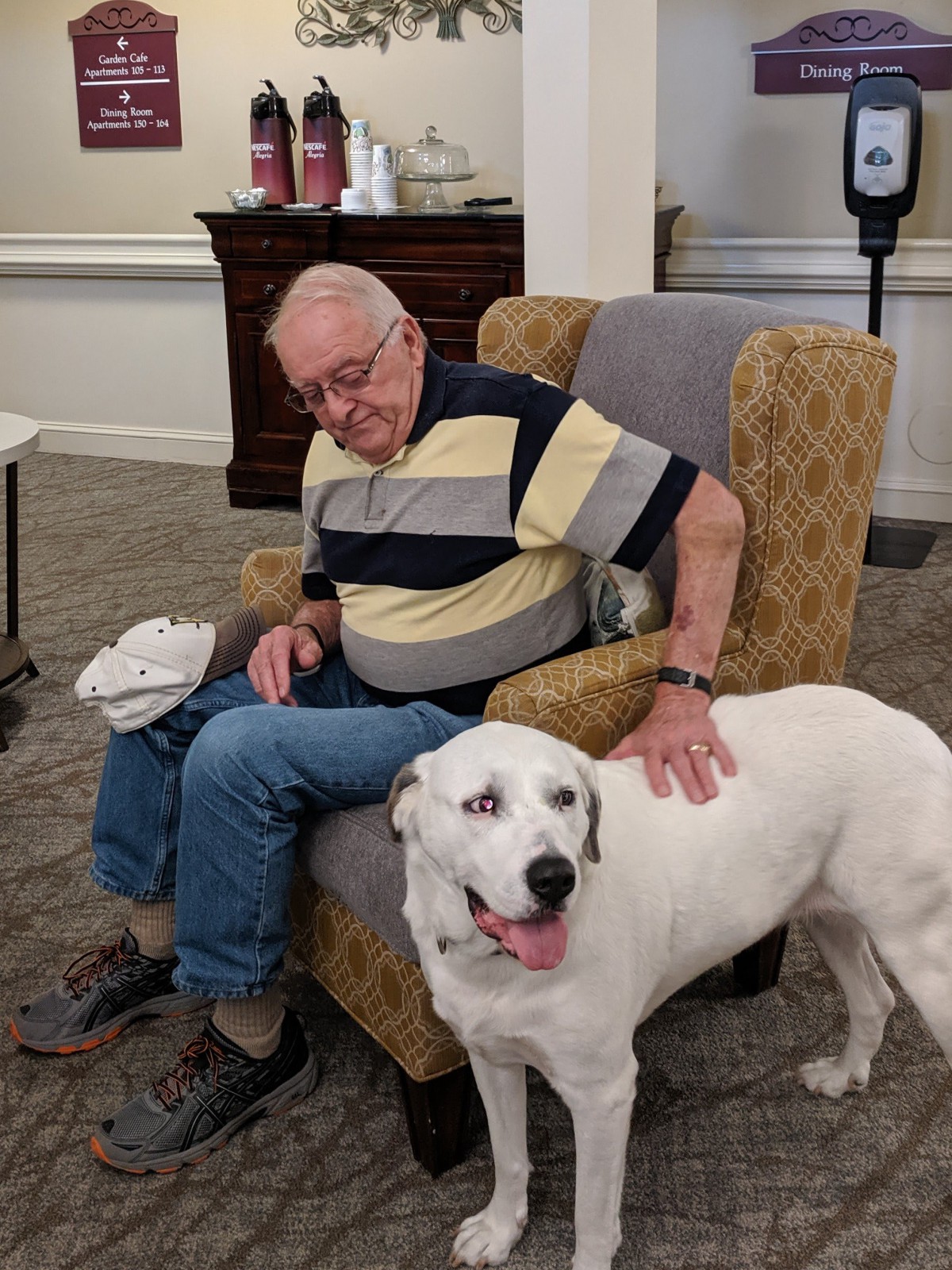 An elderly man sitting in an armchair petting a white dog indoors.