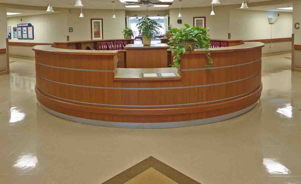 A modern office reception area with a curved wooden desk and decorative plants.