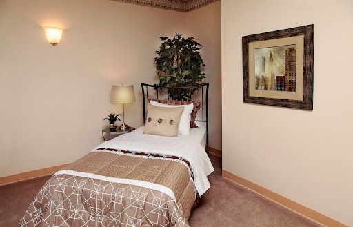 A cozy and inviting single bedroom featuring a stylish bed, decorative pillows, a bedside lamp, and a touch of greenery.