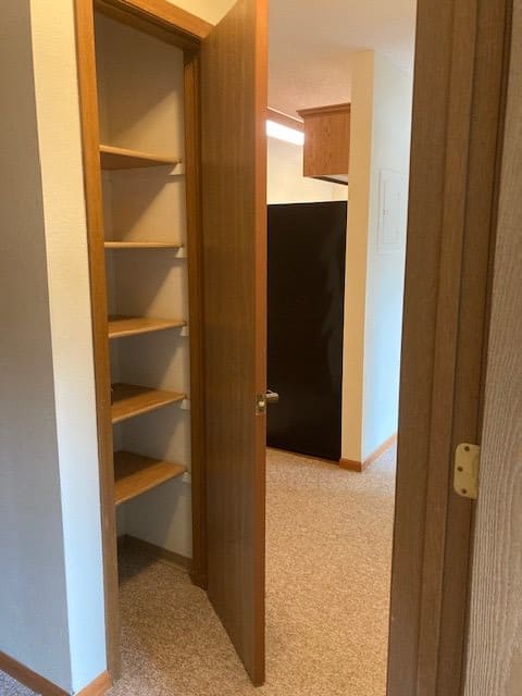 A hallway with a closet featuring wooden shelves and an open door leading to another room.