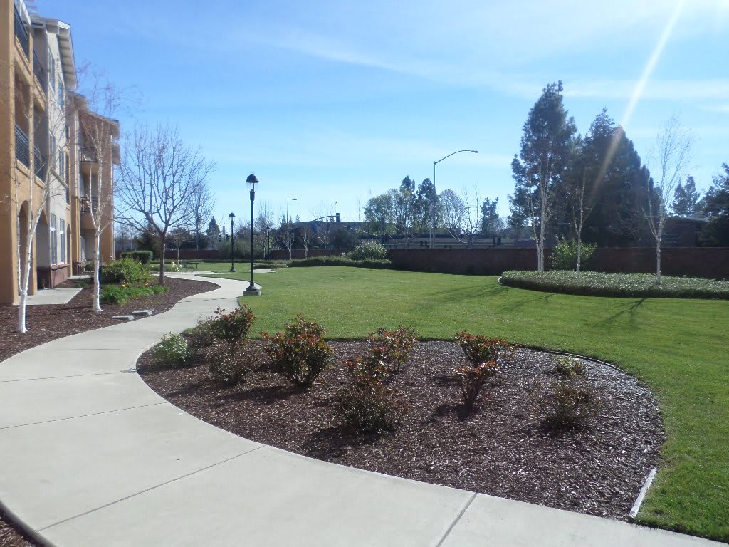 A serene park with a winding walkway, surrounded by lush greenery and trees under a clear blue sky.
