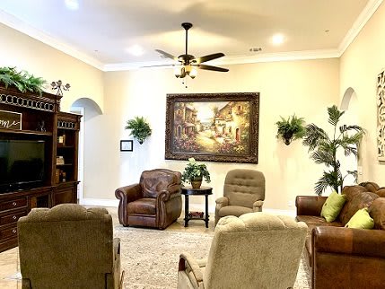 A cozy living room with armchairs, artwork, and decorative plants.