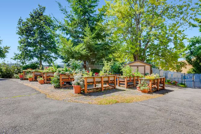 A peaceful outdoor garden area with planter boxes surrounded by lush trees on a sunny day.