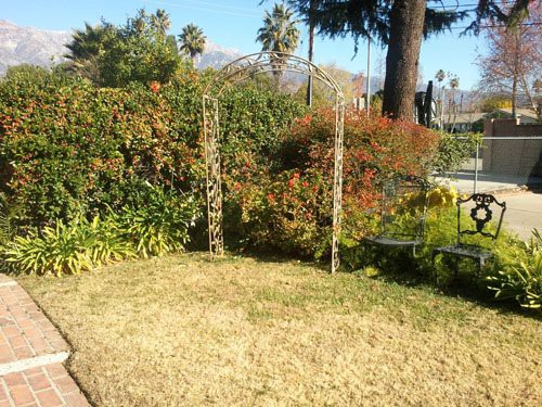 A garden with an archway surrounded by lush plants and trees.