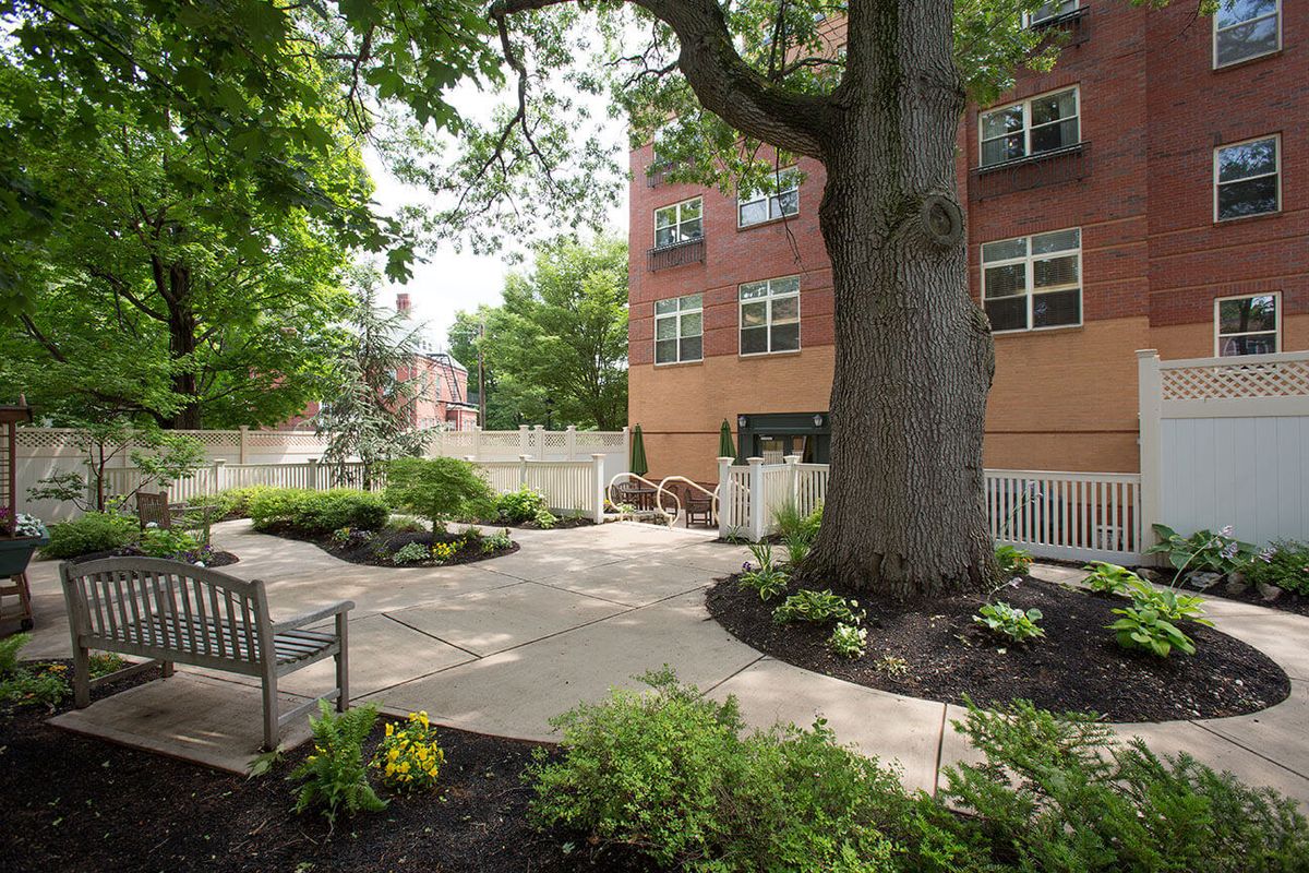 A peaceful garden area with a large tree, benches, and surrounding plants beside a brick building.