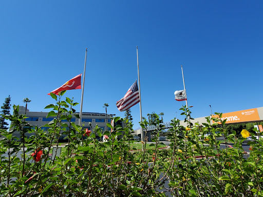 A view of three flagsrepresenting the United States, China, and Mexicofluttering under a clear blue sky, surrounded by greenery.