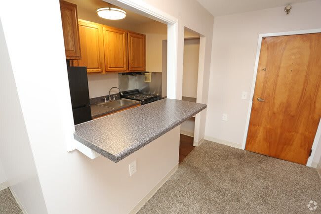 An open kitchen area with a countertop leading into the living space in an apartment.