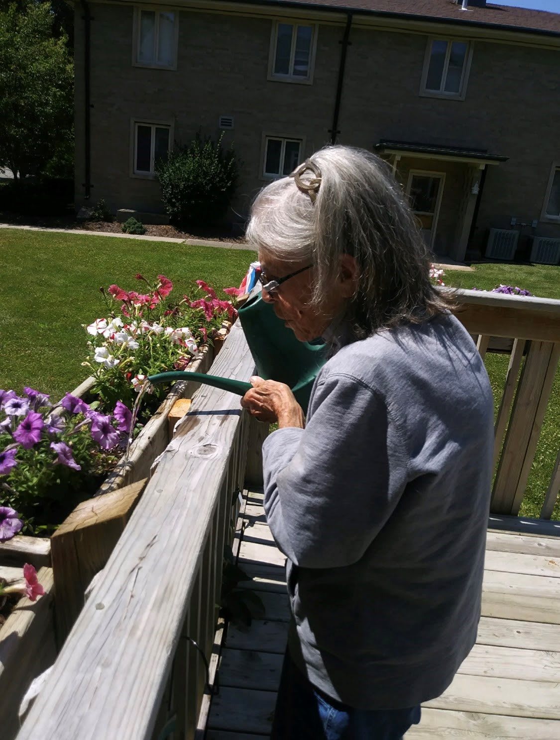 A person watering flowers on a deck in a sunny outdoor setting.