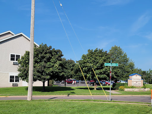 A utility pole stands alongside a road, with multiple wires extending towards the clear blue sky and trees in the background.