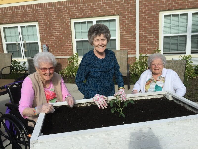 A group of seniors enjoying gardening together outdoors.