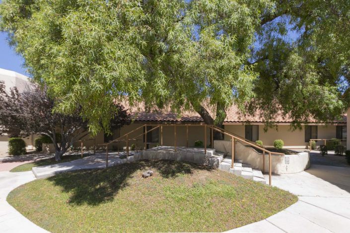 A serene outdoor setting featuring a building surrounded by trees and a winding pathway.